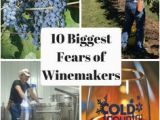 Minnesota Vineyards Map 48 Best Minnesota Wineries Www Minnesotawinepassport Com Images