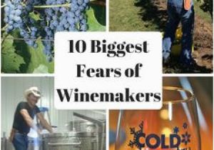 Minnesota Vineyards Map 48 Best Minnesota Wineries Www Minnesotawinepassport Com Images