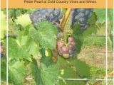 Minnesota Vineyards Map 48 Best Minnesota Wineries Www Minnesotawinepassport Com Images