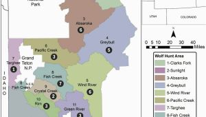 Minnesota Wolf Population Map Wyoming Sets Wolf Population Goal Of 160 Environmental