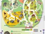 Minnesota Zoo Map 49 Best Zoo Maps Images Zoo Map the Zoo Zoos