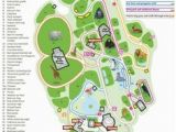 Minnesota Zoo Map the 20 Most Inspiring Zoo Map Images Zoo Map Chart Design Graph