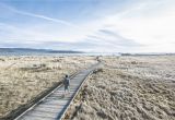 Mono Lake California Map Reasons to Visit Oddly Interesting Mono Lake