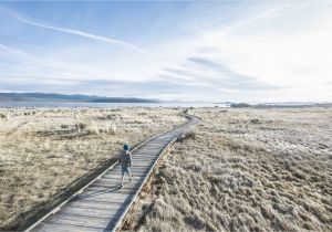 Mono Lake California Map Reasons to Visit Oddly Interesting Mono Lake