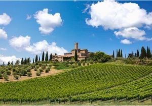 Montalcino Italy Map Montalcino 2019 Best Of Montalcino Italy tourism Tripadvisor