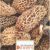 Morel Mushrooms Michigan Map 733 Best A Study Of Morel Mushrooms Images In 2019 Stuff Mushrooms