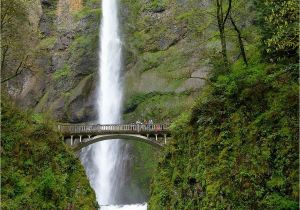 Multnomah Falls oregon Map Multnomah Falls Wikipedia Wolna Encyklopedia