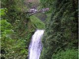 Multnomah Falls oregon Map the top 10 Things to Do Near Oneonta Gorge Cascade Locks