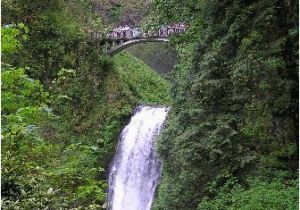 Multnomah Falls oregon Map the top 10 Things to Do Near Oneonta Gorge Cascade Locks