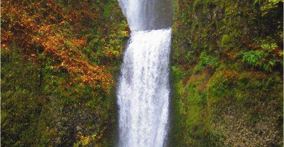 Multnomah Falls oregon Map Waterfall Hikes In the Columbia River Gorge Travel Pinterest