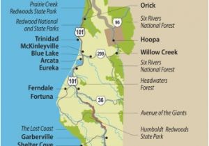 National forests In California Map Travel Info for the Redwood forests Of California Eureka and