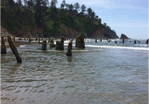 Neskowin oregon Map Neskowin 2019 Best Of Neskowin or tourism Tripadvisor