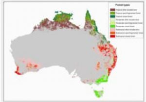 New England Australia Map forests Of Australia Wikipedia