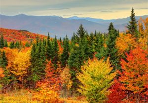 New England Fall Colors Map How to See New England Fall Foliage at Its Peak