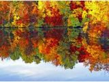 New England Fall Foliage Map 2014 18 Best New England Fall Foliage Images In 2015 New