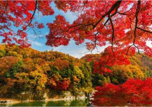 New England Fall Foliage Map A Complete Fall Color and Autumn Leaf Viewing Guide