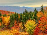New England Fall Foliage Map How to See New England Fall Foliage at Its Peak