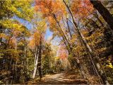 New England Foliage 2014 Map A Scenic Drive In Western Maine New England Fall Foliage