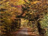 New England Foliage 2014 Map A Scenic Drive In Western Maine New England Fall Foliage