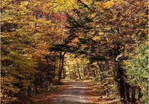 New England Foliage 2014 Map A Scenic Drive In Western Maine New England Fall Foliage