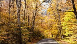 New England Foliage 2014 Map A Scenic Drive In Western Maine New England Fall Foliage