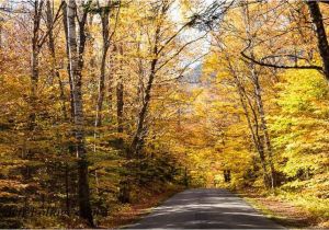 New England Foliage 2014 Map A Scenic Drive In Western Maine New England Fall Foliage