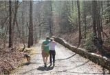 North Carolina Arboretum Map Dog Friendly Hiking Trails Picture Of the north Carolina