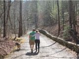 North Carolina Arboretum Map Dog Friendly Hiking Trails Picture Of the north Carolina