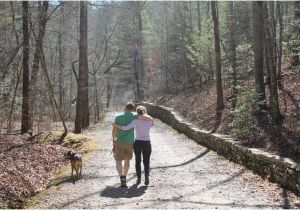 North Carolina Arboretum Map Dog Friendly Hiking Trails Picture Of the north Carolina