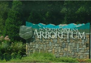 North Carolina Arboretum Map Nc Arboretum Picture Of the north Carolina Arboretum asheville