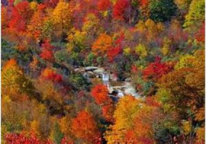 North Carolina Fall Foliage Map 123 Best Fall Beautiful Season In north Carolina Images Nature