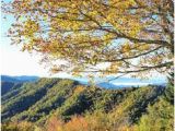 North Carolina Fall Foliage Map 200 Best Fall Color In Nc Mountains Images Nc Mountains Blue