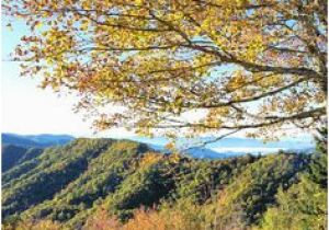 North Carolina Fall Foliage Map 200 Best Fall Color In Nc Mountains Images Nc Mountains Blue