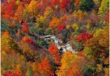 North Carolina Foliage Map 123 Best Fall Beautiful Season In north Carolina Images Nature