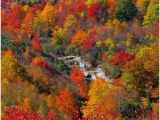 North Carolina Foliage Map 123 Best Fall Beautiful Season In north Carolina Images Nature