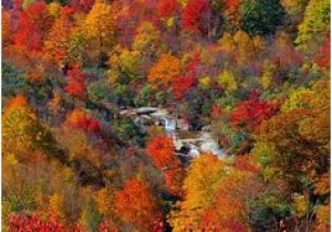 North Carolina Foliage Map 123 Best Fall Beautiful Season In north Carolina Images Nature