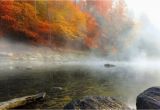 North Carolina Foliage Map Fall Foliage Peak Periods In the southeast