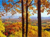 North Carolina Foliage Map Fall Foliage Peak Periods In the southeast