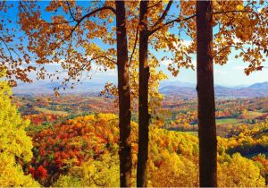 North Carolina Foliage Map Fall Foliage Peak Periods In the southeast