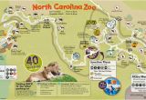 North Carolina Zoo Map 31 Perfect north Carolina Zoo Map Bnhspine Com
