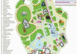 North Carolina Zoo Map Nc Zoo Map Beautiful 10 Best Printable Map 01 Maps Directions