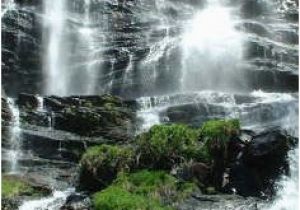 North Georgia Waterfalls Map 40 Best Amicalola Falls Images On Pinterest Amicalola Falls