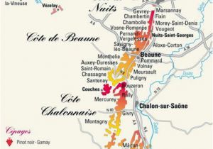 North Georgia Wineries Map Bourgogne Wine Map some Things About Wine Wine Burgundy Wine