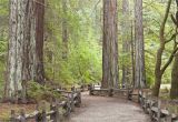 Northern California Redwoods Map California Redwood forests where to See the Big Trees