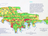 Oak Ridge Tennessee Map Vegetation at Oak Ridge National Laboratory Reservation U S