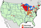 Ohio River Fishing Map Rusty Crayfish A Nasty Invader Minnesota Sea Grant