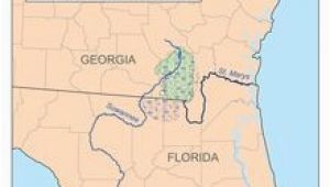 Okefenokee Swamp Map Of Georgia 59 Best Places I Ve Been or Want to Go Images On Pinterest