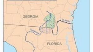 Okefenokee Swamp Map Of Georgia 59 Best Places I Ve Been or Want to Go Images On Pinterest