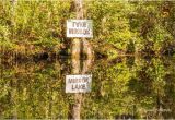 Okefenokee Swamp On Georgia Map Mirror Lake Picture Of Okefenokee Swamp Park Waycross Tripadvisor