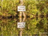 Okefenokee Swamp On Georgia Map Mirror Lake Picture Of Okefenokee Swamp Park Waycross Tripadvisor